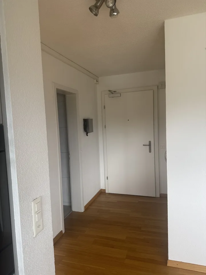 Rent a 3 ½ room apartment in Bern