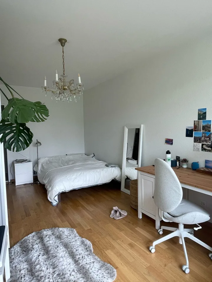 Zimmer in schöner WG im Marzili