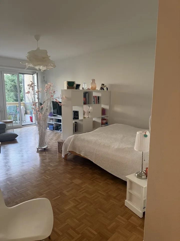 1½ ZI-WOHNUNG IN BERN - LÄNGGASSE, MÖBLIERT, TEMPORÄR