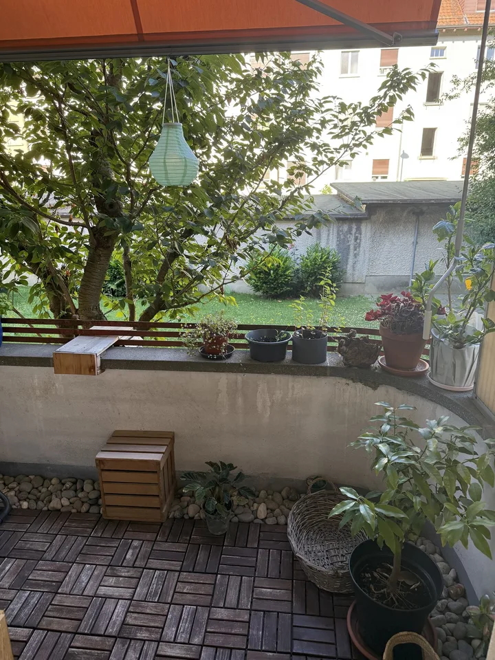 Zimmer für Wochenaufenthalter/in in gemütlicher 3-Zimmer-Wohnung zu vergeben