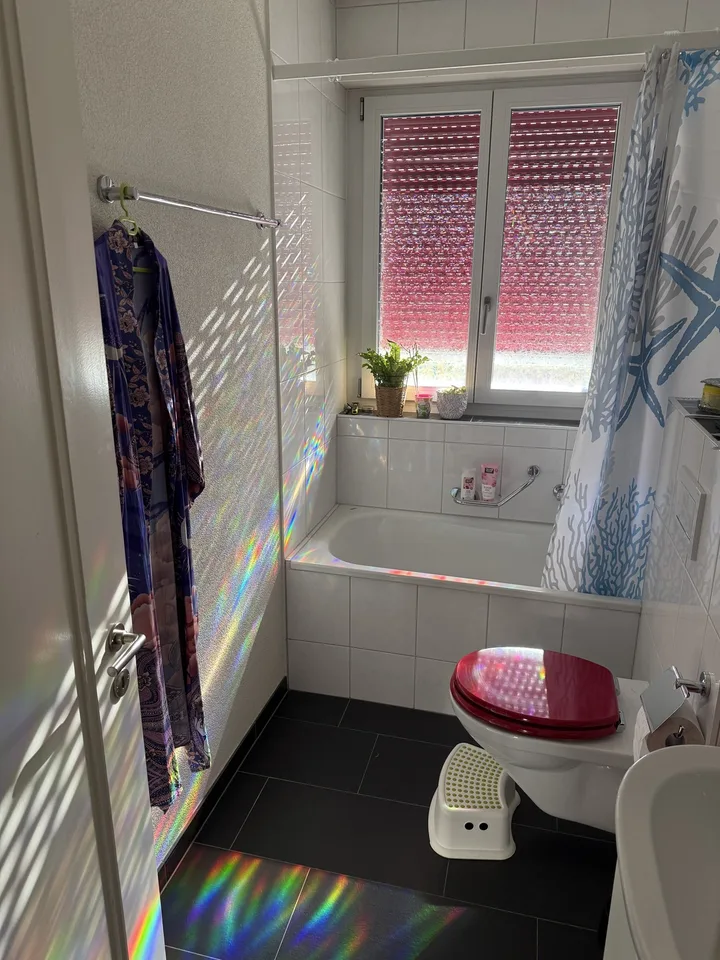 Zimmer für Wochenaufenthalter/in in gemütlicher 3-Zimmer-Wohnung zu vergeben