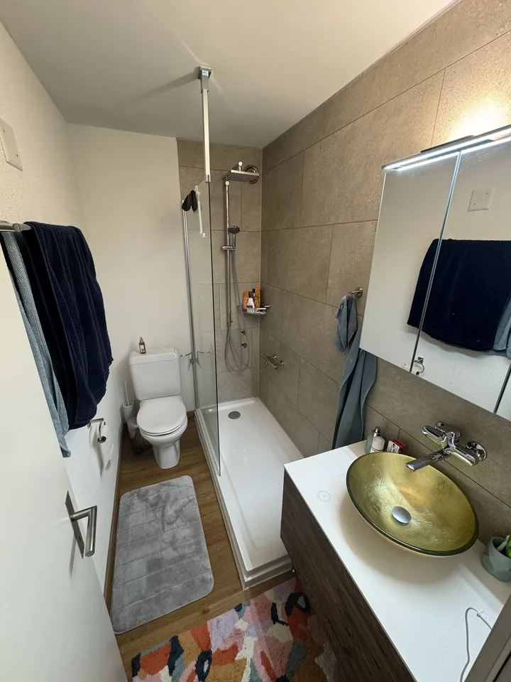 Sonnig, ruhig und zentral. 2,5-Zimmer-Wohnung im Brückfeldquartier