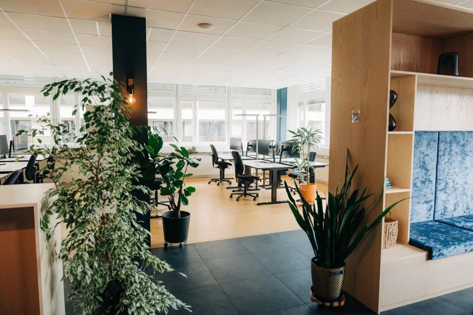 Openspace - erfolgreiches Arbeiten in Münsingen