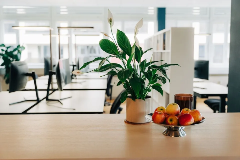 Openspace - erfolgreiches Arbeiten in Münsingen