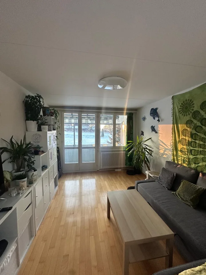 Helle 4-Zimmer-Wohnung mit Balkon und Naturblick in Richigen