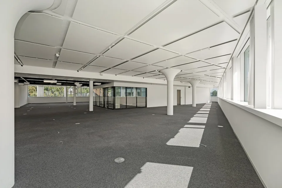 Openspace Büro - Flexibel & Anpassungsfähig, perfekt für Ihr Business!