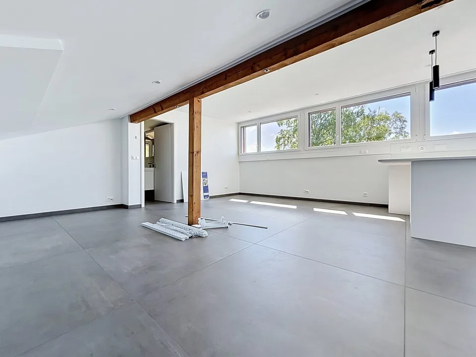 Mini-loft (qui a tout d'un grand, sauf le ménage du dimanche !)
