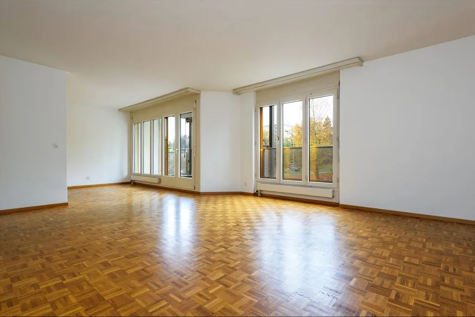 Appartement 4,5 pièces - Reprise de Bail !