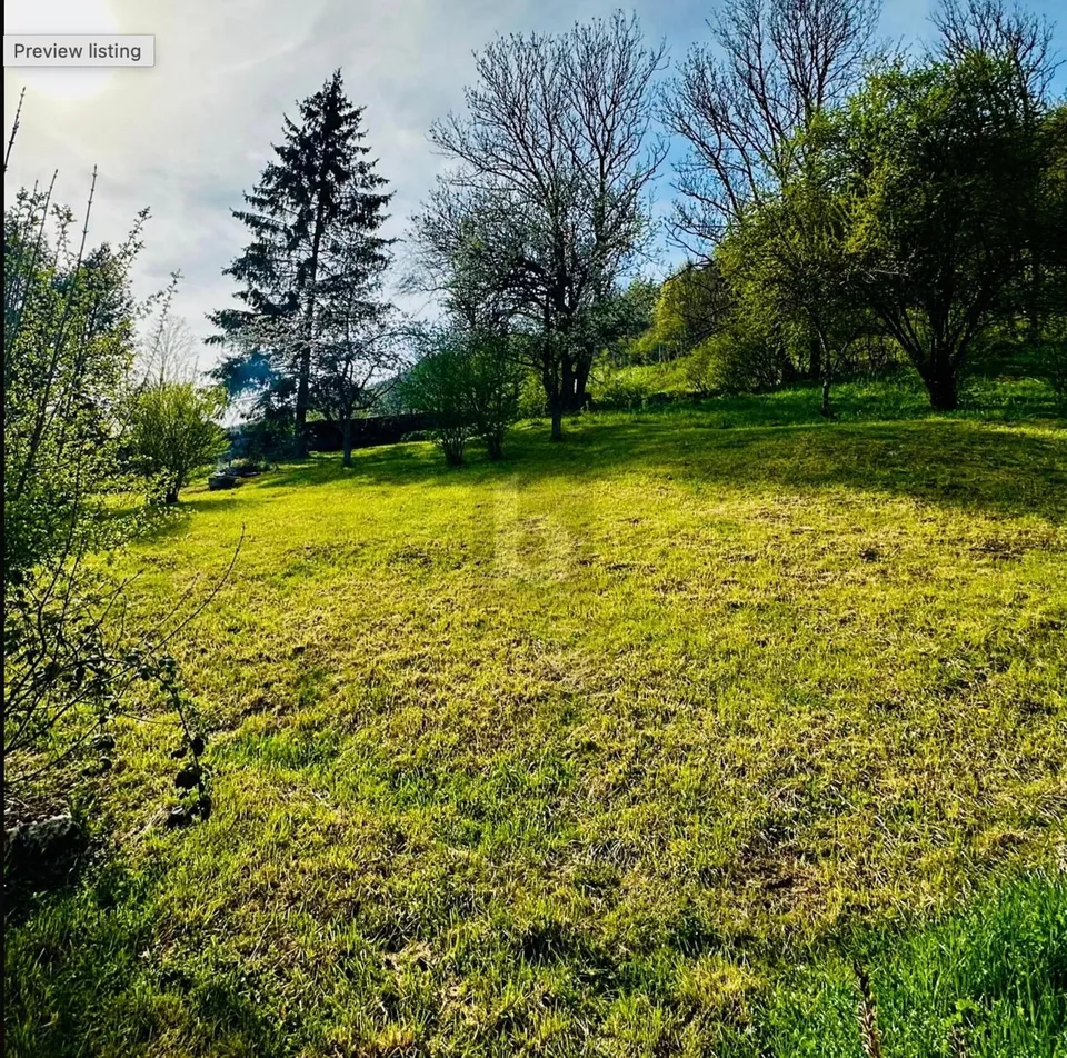 POTENTIEL AU CUR DE SONVILIER