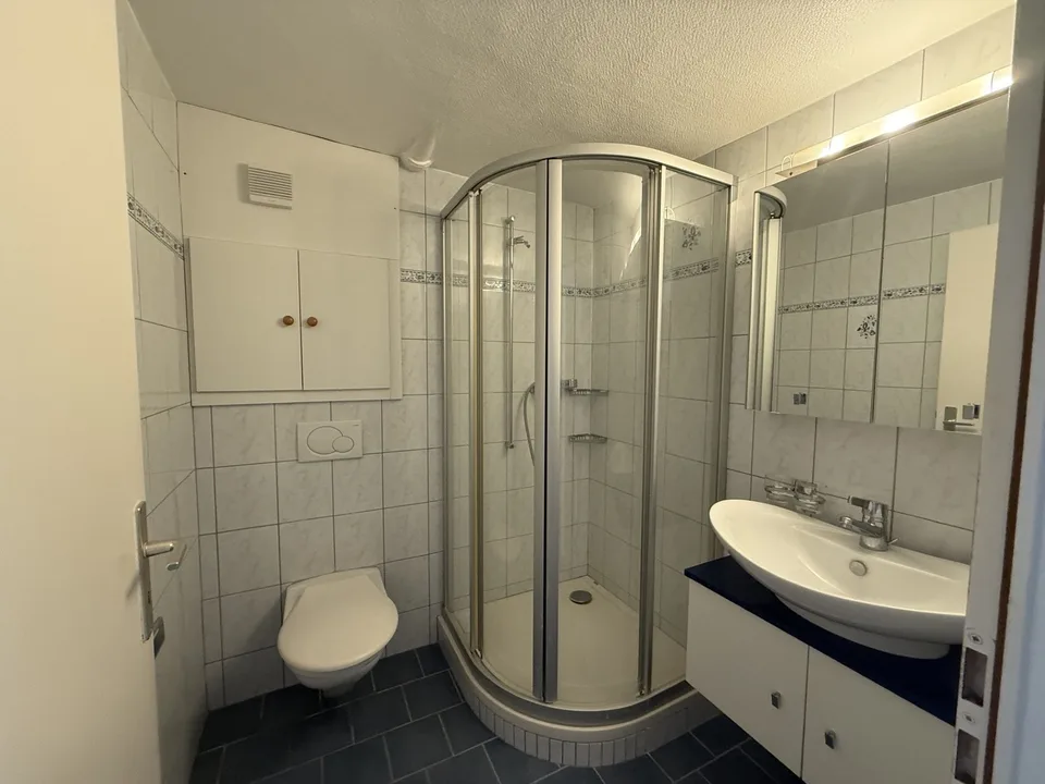 Grand appartement de 3,5 au rez supérieur