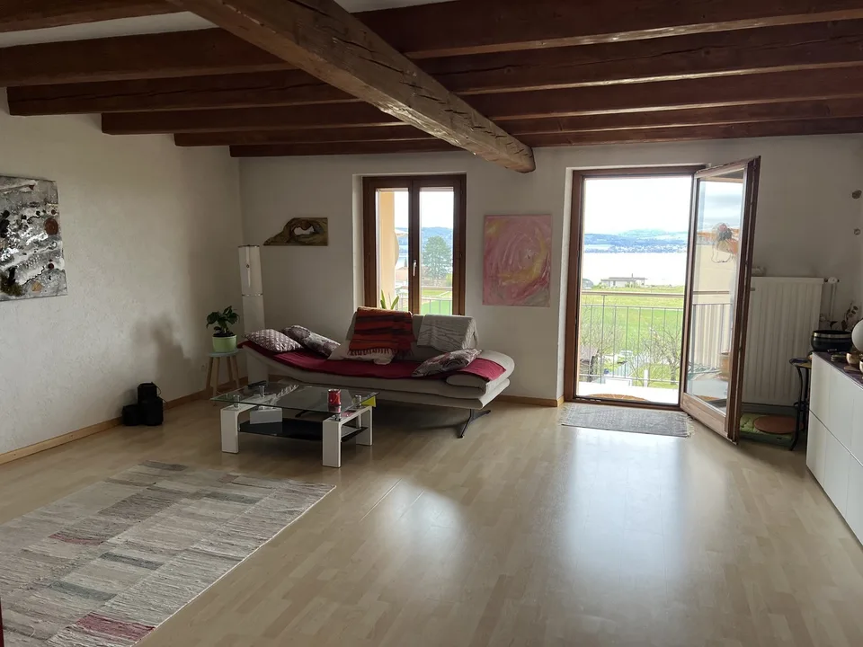 Charmant appartement de 3.5 pièces