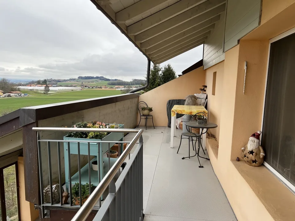 Charmant appartement de 3.5 pièces