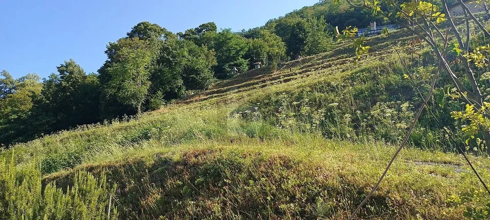 TERRENO EDIFICABILE CON VISTA APERTA
