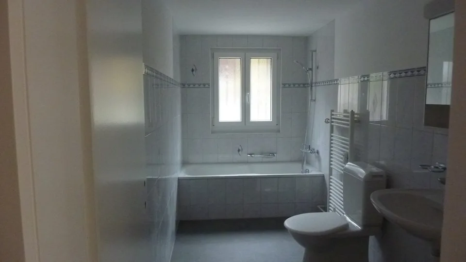 4.5 Zimmerwohnung in Danis zu vermieten