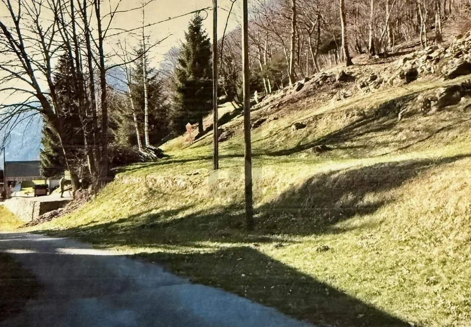 SOLEGGIATO E TRANQUILLO