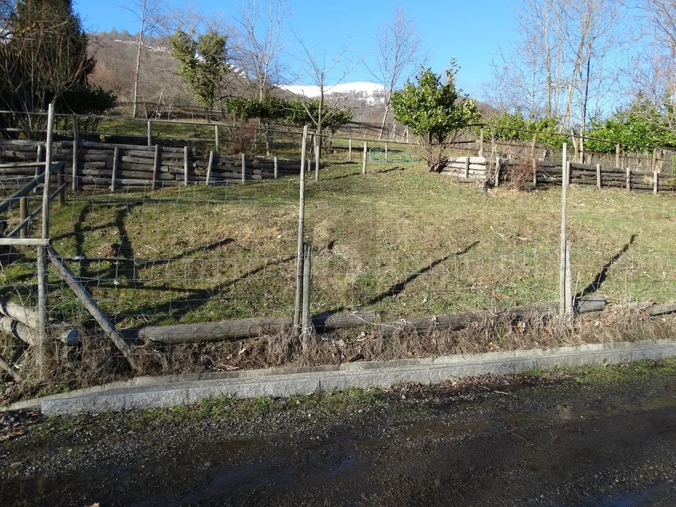 PRATO PER CAVALLI