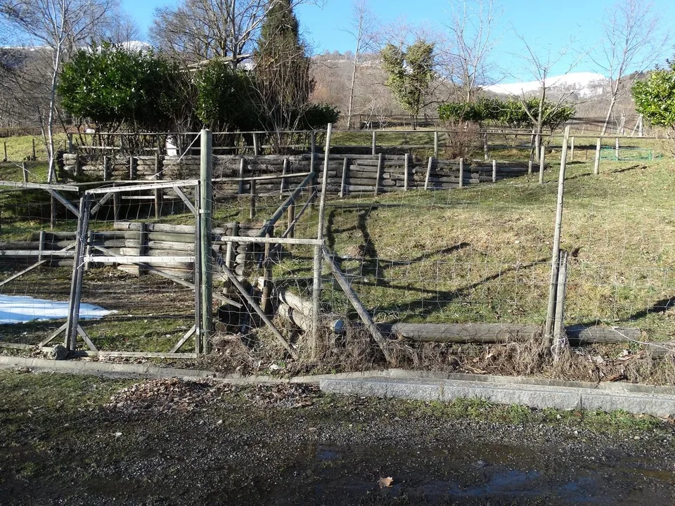 PRATO PER CAVALLI