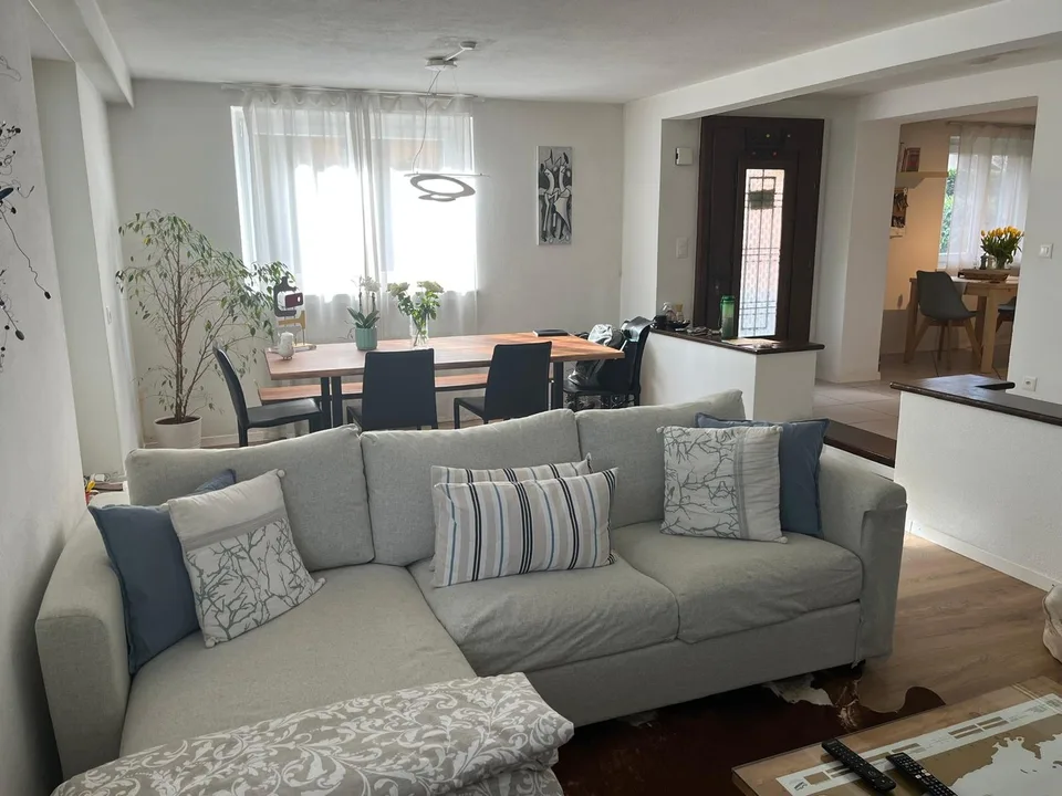 Viale Cassone 9, 6963 Lugano - CHF 1’750 inkl. NK pro Monat