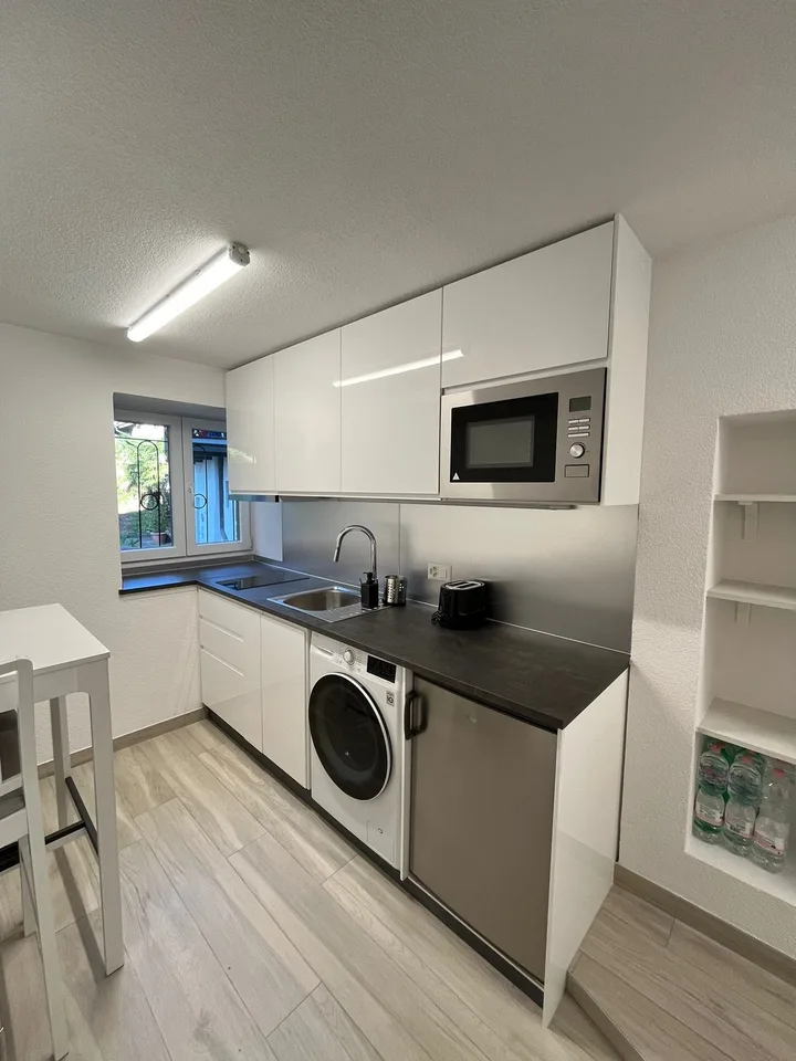 Renoviertes Studio in Ponte Tresa zu Verkaufen.
