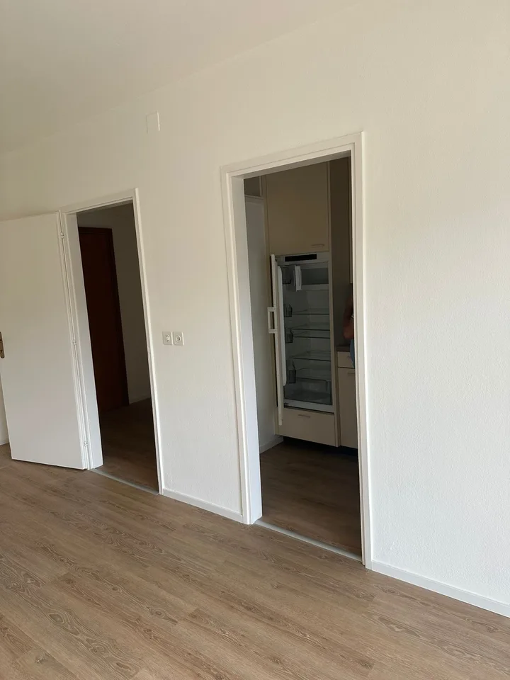Bright and Spacious 2.5-Room Apartment
