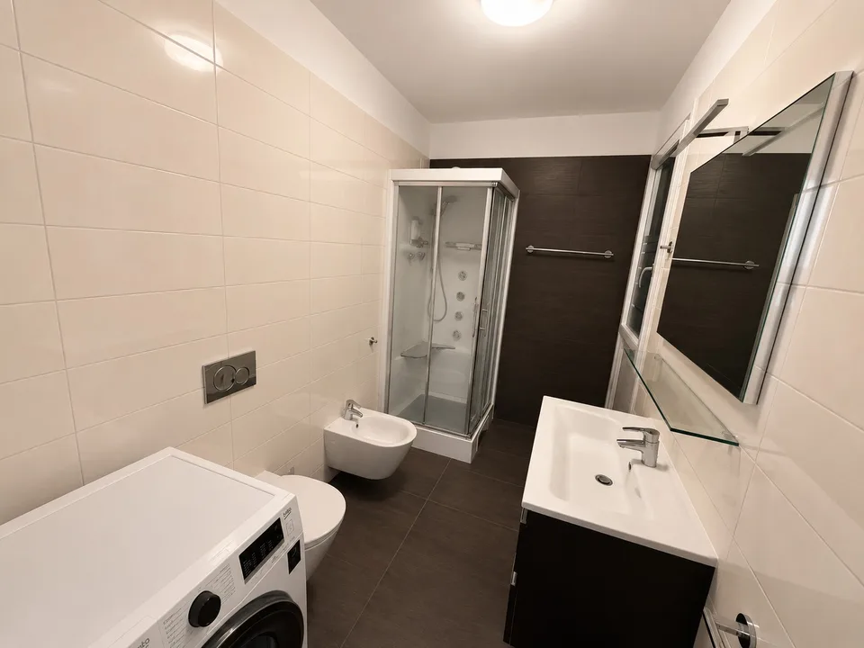 Luminoso appartamento arredato di 1.5 locali a Viganello – 55 m² – Disponibile da subito