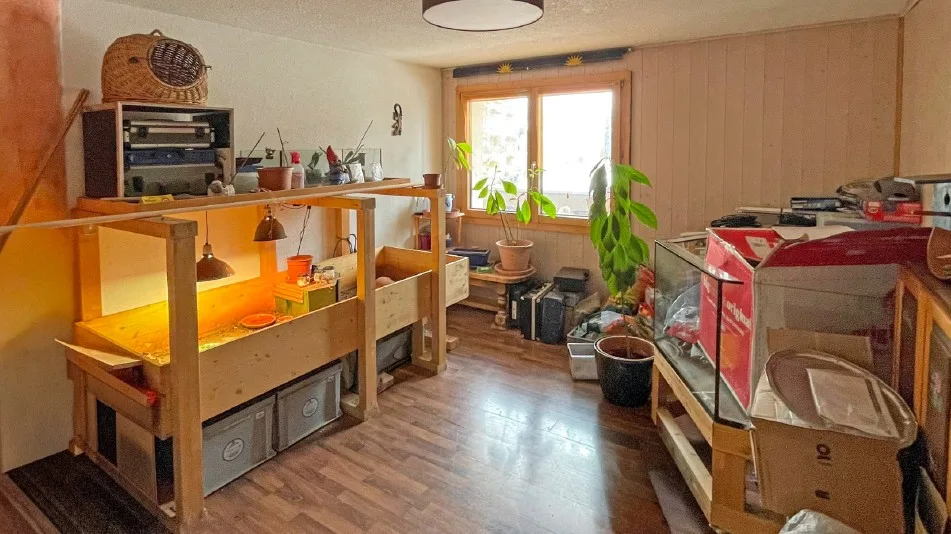 🏡 À LOUER – Charmant 4.5 pièces à La Tour-de-Trême