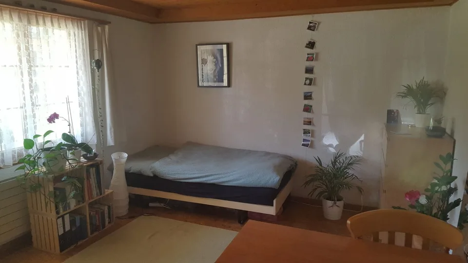 Charmantes Studio im Chaletstil – Wohnen in der Region Zweisimmen–Gstaad