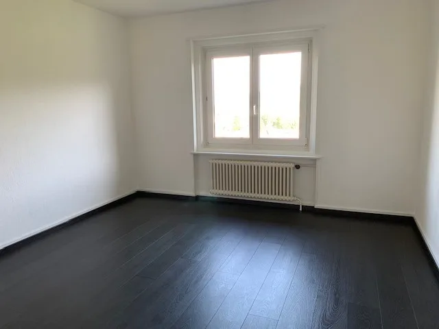 Reprise de bail, 4.5 pces 95m2, jardin, balcon