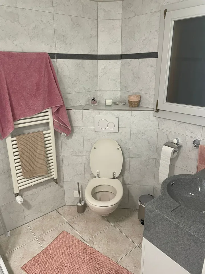 2.5 Zimmmer Wohnung (Studiogrösse) in Reutigen zu vermieten