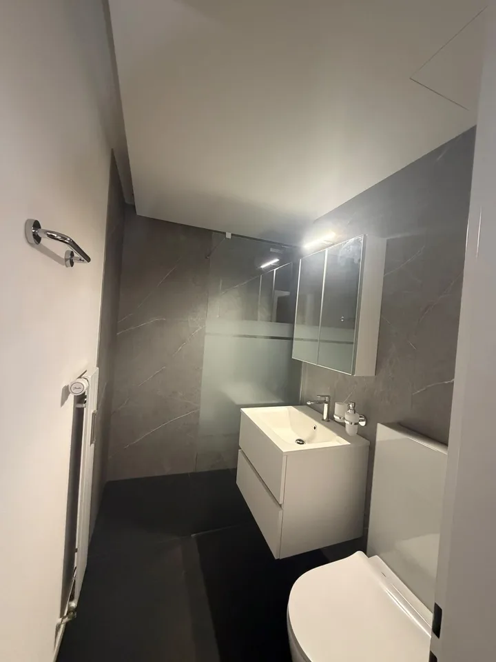 Neu renoviertes Studio in 3983 Mörel-Filet zu vermieten