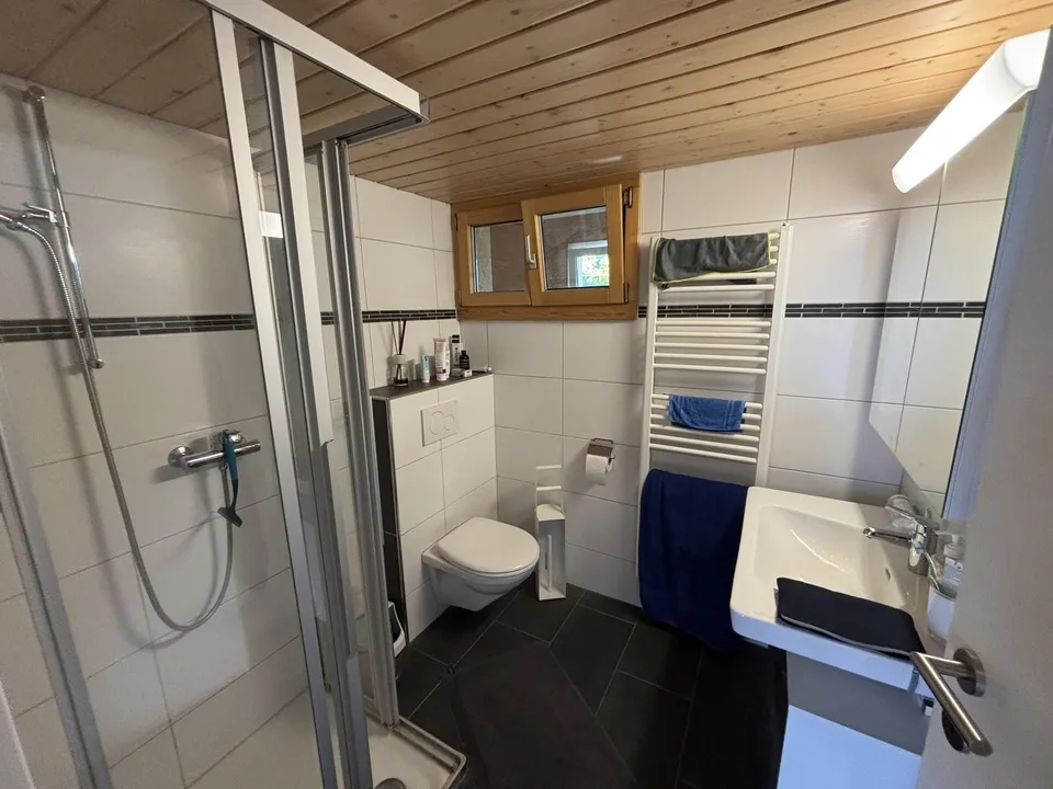 Schöne Dachwohnung mit toller Aussicht