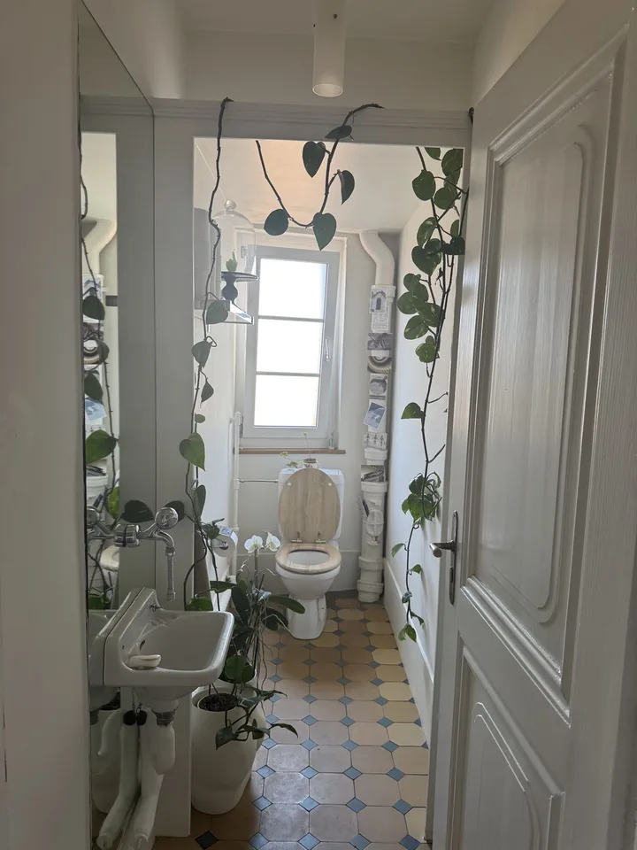 Wünderschöne Altbauwohnung in Thun