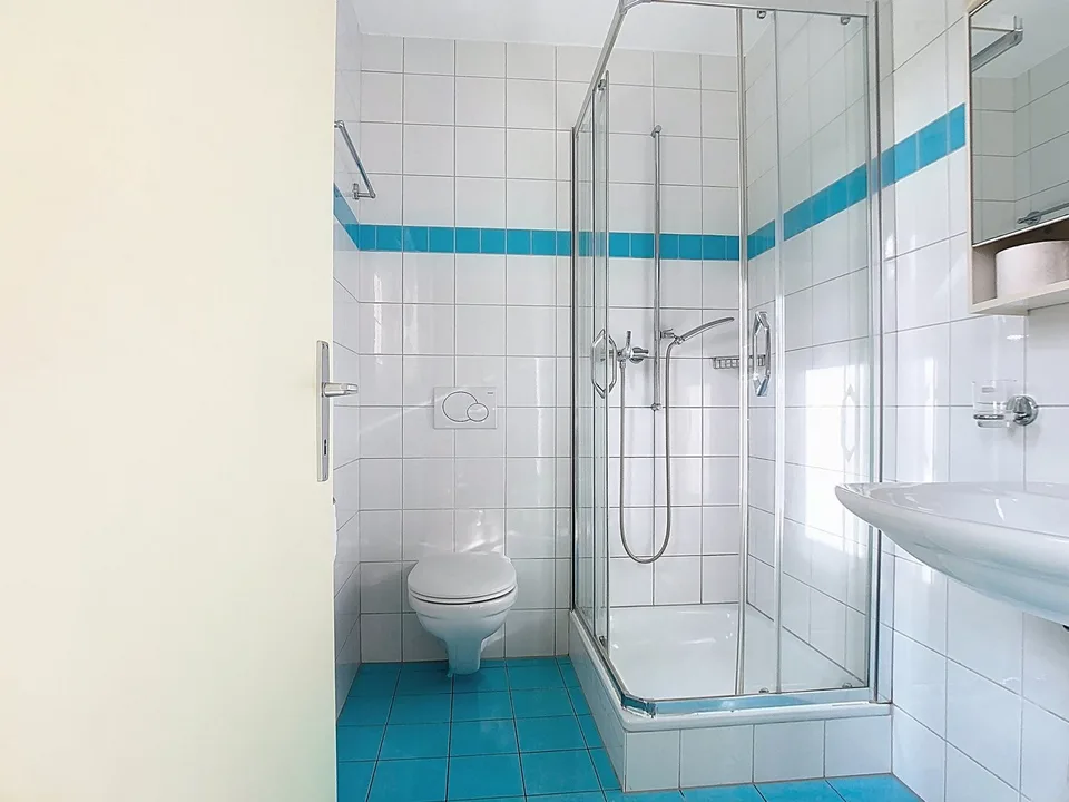 JOLI LOGEMENT