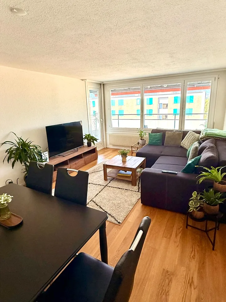 Fully Furnished Apartment with Dedicated Home Office in Thun | September 2026 – January 2027