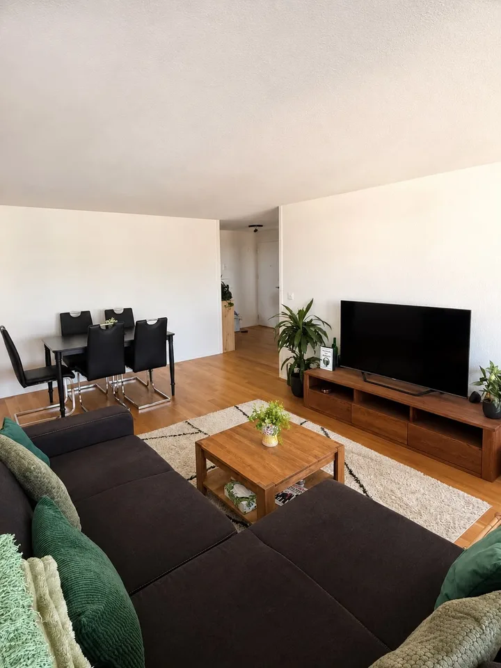Fully Furnished Apartment with Dedicated Home Office in Thun | September 2026 – January 2027