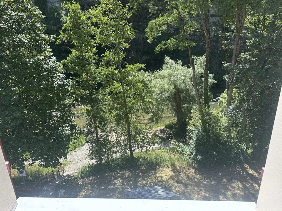 Appartement 4,5 pièces - Basse-ville Fribourg