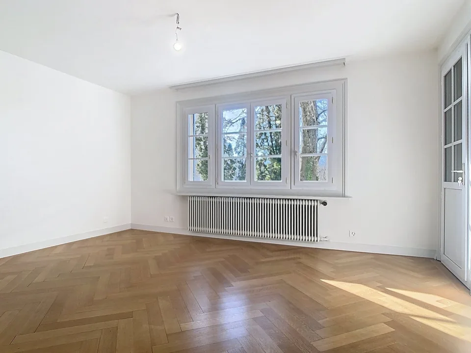 UN BEL APPARTEMENT DE STANDING DANS UN IMMEUBLE DE 3 LOGEMENTS