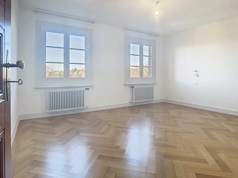 UN BEL APPARTEMENT DE STANDING DANS UN IMMEUBLE DE 3 LOGEMENTS