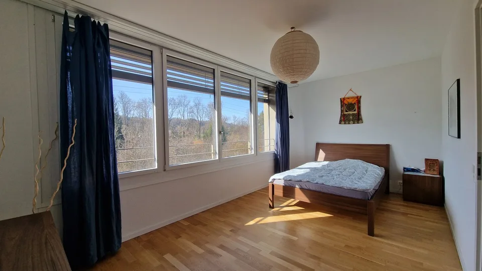 Duplex de 3,5 pièces - Reprise de bail