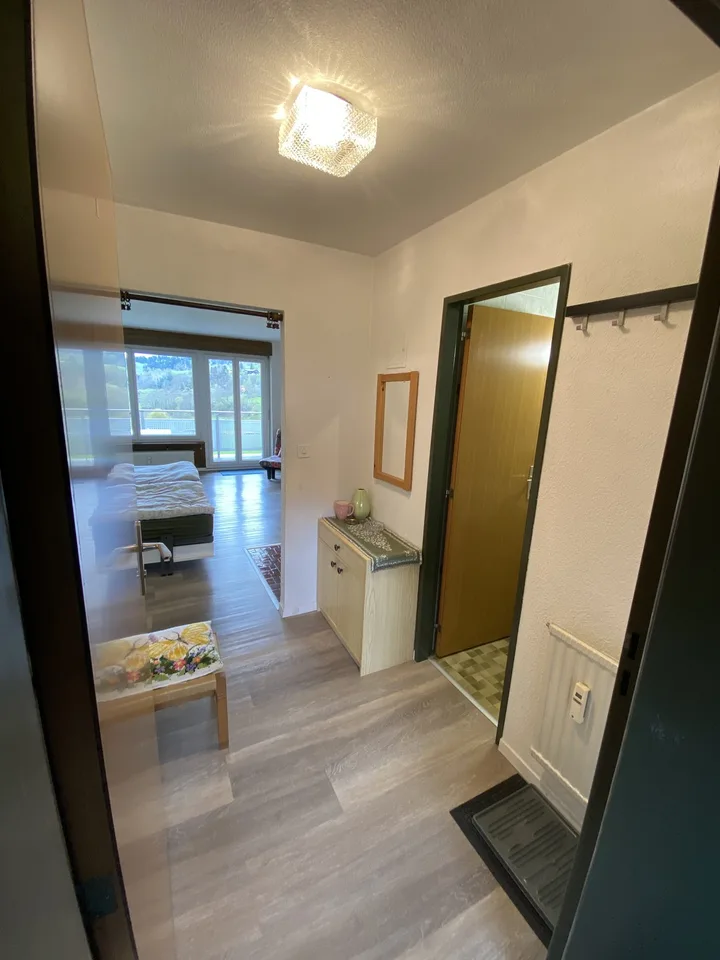 Gemütlich eingerichtete Studio/Wohnung in Leukerbad
