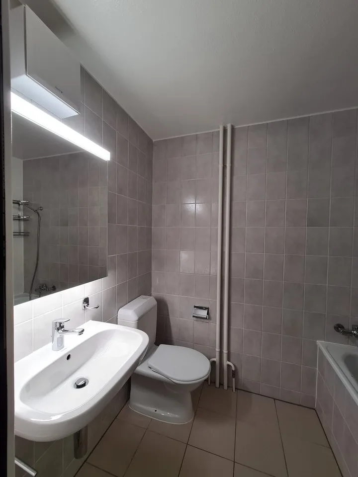 Très bel appartement avec jardin
