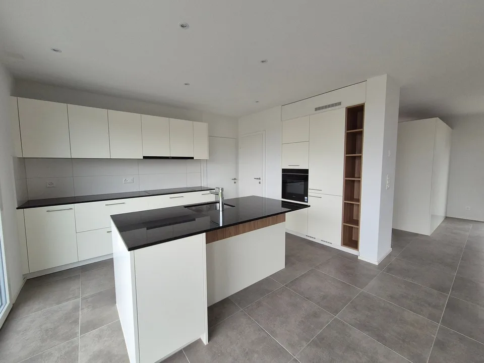 Villa neuve de 4.5 pièces à louer!