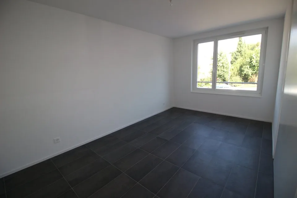 Magnifique logement de 3½ pièces dans immeuble récent