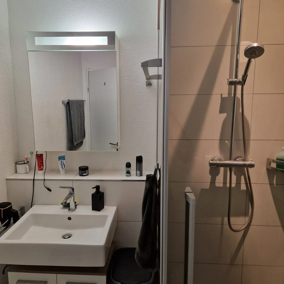 Chambre dans une collocation d'un appartement 4.5 pièces de 145m²