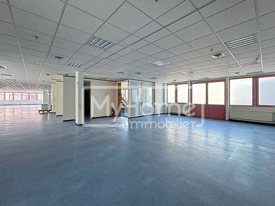 Grande surface commerciale de 1'485 m2 sur 2 niveaux à Lonay – Foto 6 von 12