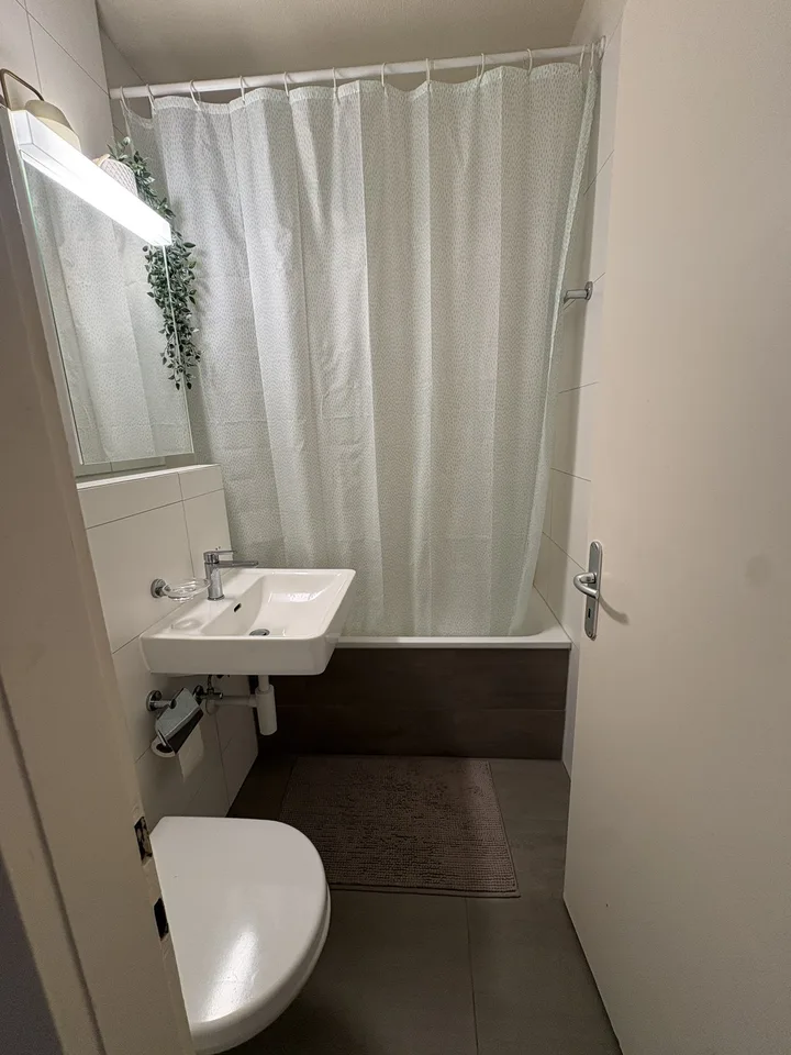 Furnished 2.5-room Apartment Sublet - Lausanne Center