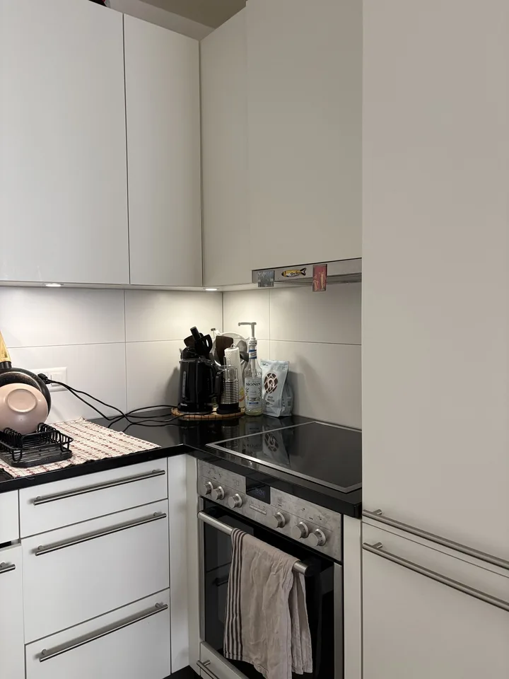 Furnished 2.5-room Apartment Sublet - Lausanne Center