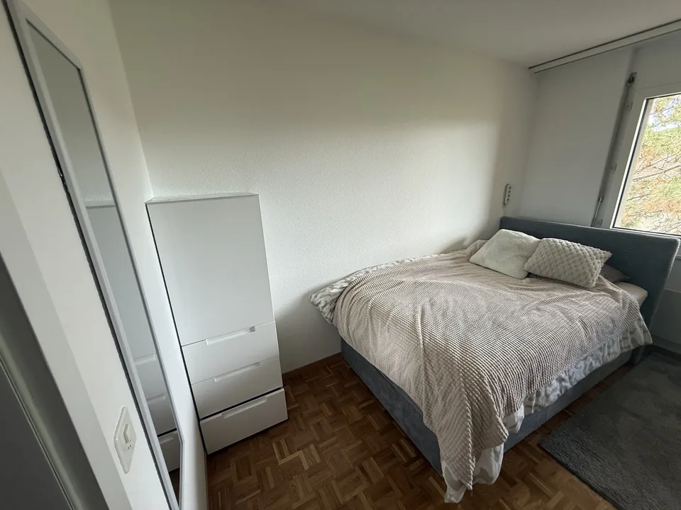Chambre en collocation
