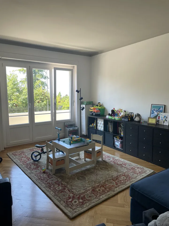 Rare Family Apartment for Lease Takeover Lausanne (Parc de Mon-Repos)