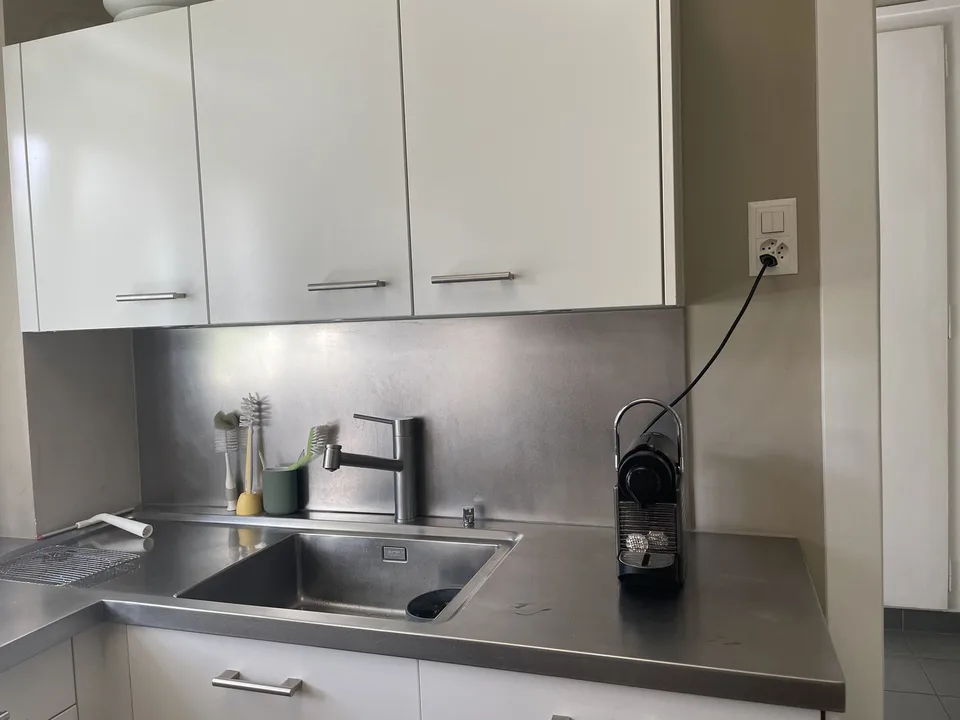 Rare Family Apartment for Lease Takeover Lausanne (Parc de Mon-Repos)